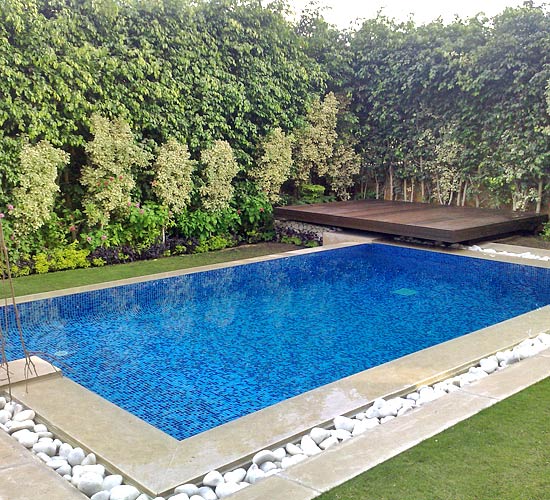 Around Swimming Pool