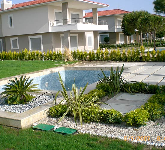 Swimming Pool and Plants
