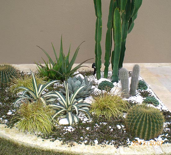 Combination of Cement and Garden